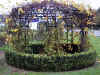 pr_id_foto.jpg (37704 bytes)