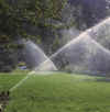 Garden03.jpg (393802 bytes)